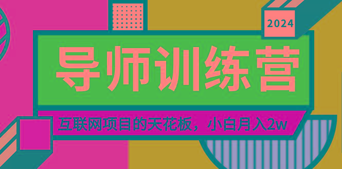 《导师训练营》精准粉丝引流的天花板，小白月入2w-小艾网创