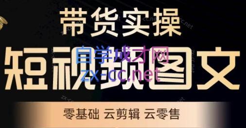 鑫哥·2024零基础短视频带货实操营-小艾网创