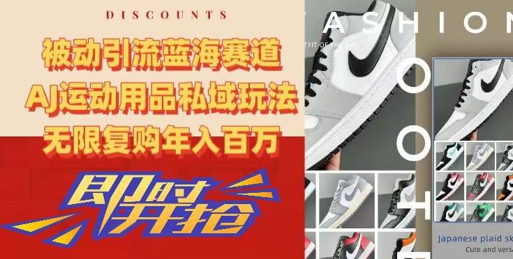 被动引流蓝海赛道，AJ运动用品私域玩法，无限复购年入百万【揭秘】-小艾网创