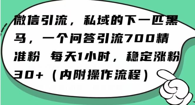 怎么搞精准创业粉？微信新赛道，每天一小时，利用Ai一个问答日引100精准粉-小艾网创