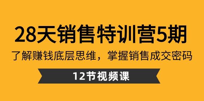 28天销售特训营5期：了解赚钱底层思维，掌握销售成交密码（12节课）-小艾网创