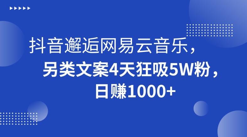 抖音邂逅网易云音乐，另类文案4天狂吸5W粉，日赚1000+【揭秘】-小艾网创