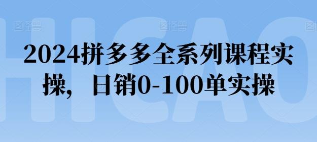 2024拼多多全系列课程实操，日销0-100单实操【必看】-小艾网创