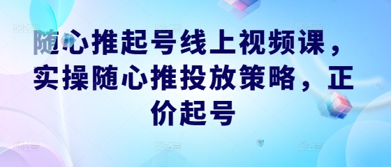 随心推起号线上视频课，实操随心推投放策略，正价起号-小艾网创