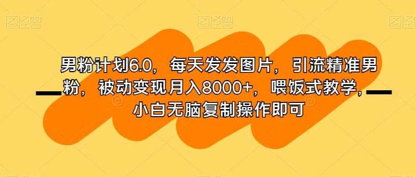男粉计划6.0，每天发发图片，引流精准男粉，被动变现月入8000+，喂饭式教学，小白无脑复制操作即可-小艾网创
