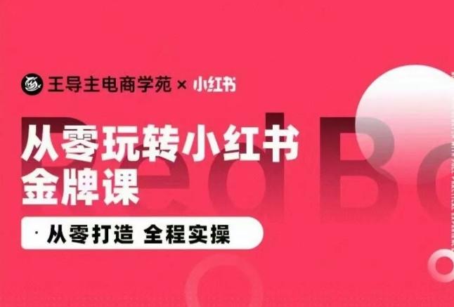 王导主·小红书电商运营实操课，​从零打造  全程实操-小艾网创
