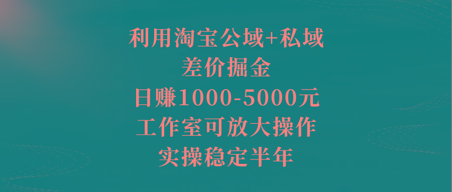 利用淘宝公域+私域差价掘金，日赚1000-5000元，工作室可放大操作，实操…-小艾网创