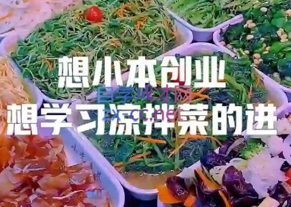 李记·精品凉拌菜系列热卤系列教程-小艾网创