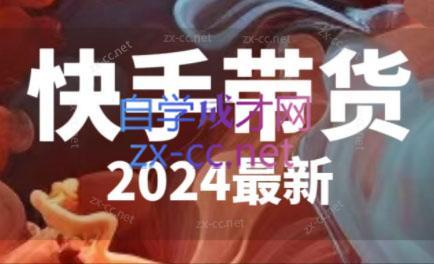 快手带货(2024最新)-小艾网创