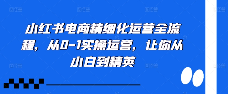 小红书电商精细化运营全流程，从0-1实操运营，让你从小白到精英-小艾网创