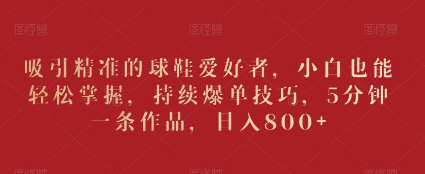 吸引精准的球鞋爱好者，小白也能轻松掌握，持续爆单技巧，5分钟一条作品，日入800+【揭秘】-小艾网创