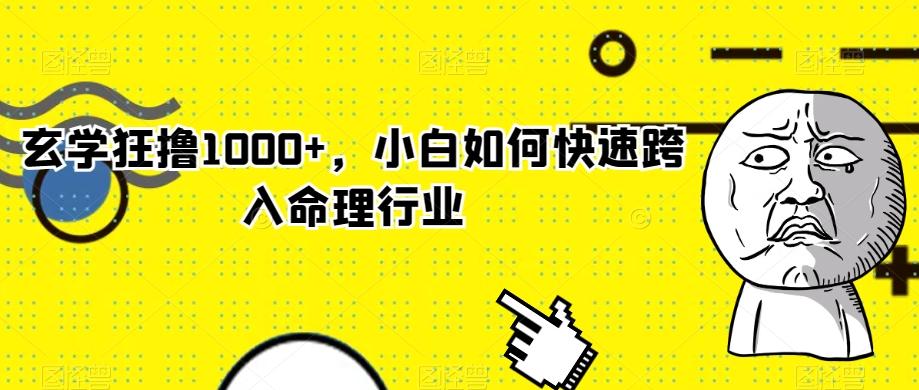 玄学狂撸1000+，小白如何快速跨入命理行业-小艾网创