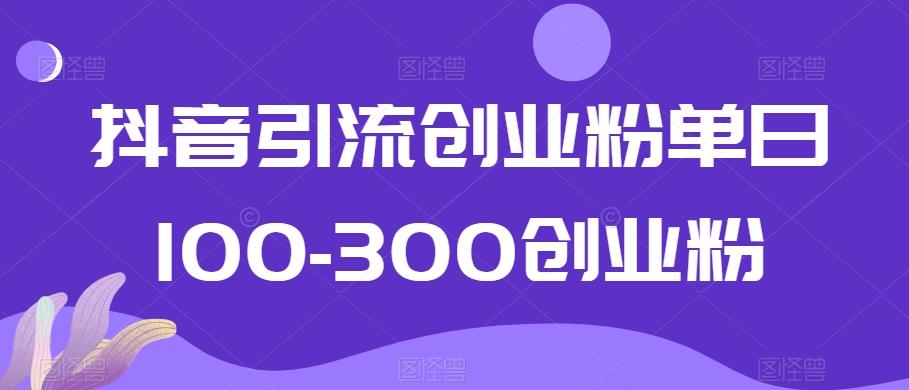 抖音引流创业粉单日100-300创业粉【揭秘】-小艾网创
