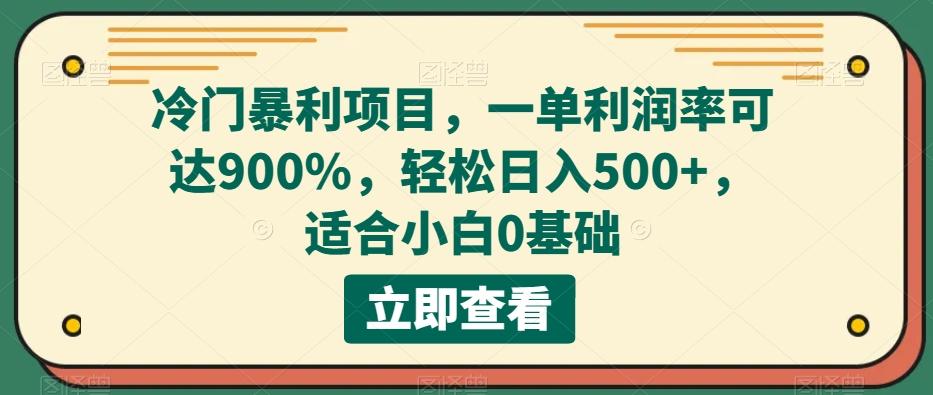 冷门暴利项目，一单利润率可达900%，轻松日入500+，适合小白0基础-小艾网创