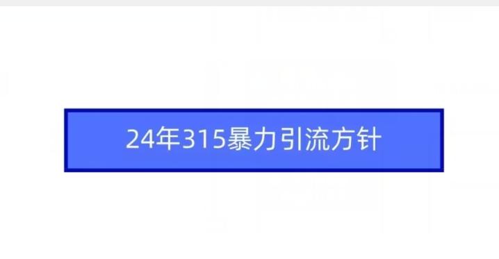 24年315暴力引流方针-小艾网创
