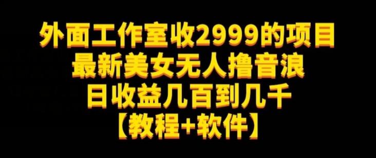 外面工作室收2999的项目最新美女无人撸音浪日收益几百到几千【教程+软件】（仅揭秘）-小艾网创
