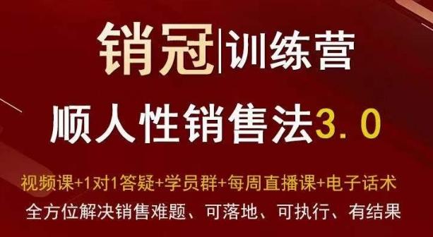 爆款！销冠训练营3.0之顺人性销售法，全方位解决销售难题、可落地、可执行、有结果-小艾网创