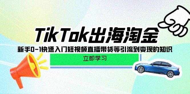 (10035期)TikTok-出海淘金，新手0-1快速入门短视频直播带货等引流到变现的知识-小艾网创
