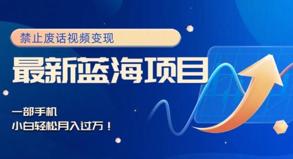 最新蓝海项目，靠禁止废话视频变现，一部手机，小白轻松月入过万！-小艾网创