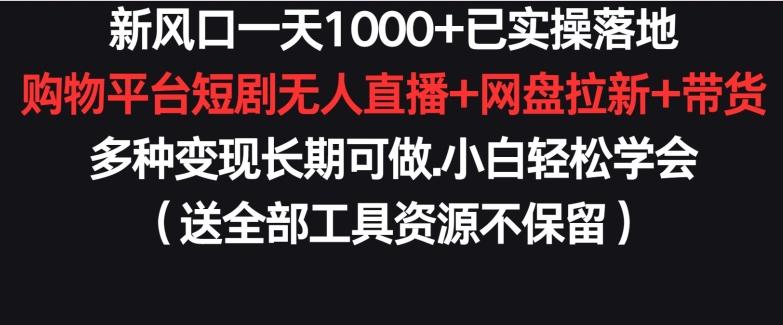 新风口一天1000+已实操落地购物平台短剧无人直播+网盘拉新+带货多种变现长期可做【揭秘】-小艾网创