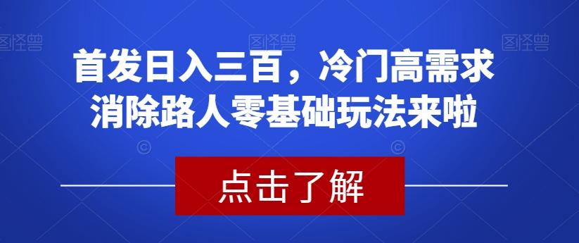 首发日入三百，冷门高需求消除路人零基础玩法来啦【揭秘】-小艾网创