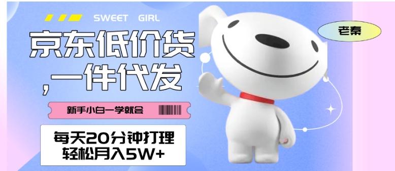 每天20分钟打理京东低价货，一件代发-轻松月入5W＋-小艾网创