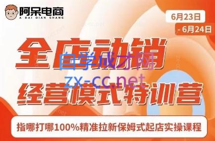 阿呆电商·全店动销经营模式特训营(线下录音+思维导图)-小艾网创