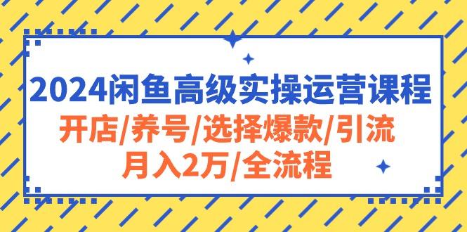 2024闲鱼高级实操运营课程：开店/养号/选择爆款/引流/月入2万/全流程-小艾网创