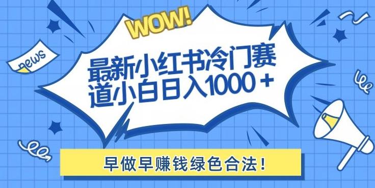 最新小红书冷门赛道日入1000+一部手机小白轻松-小艾网创
