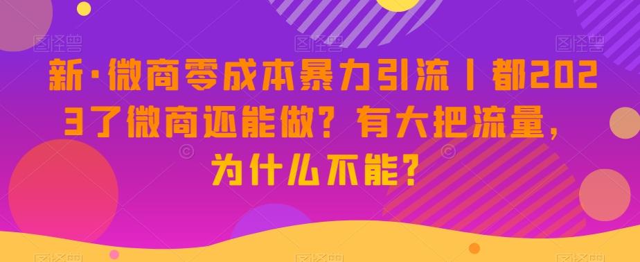 新·微商零成本暴力引流丨都2023了微商还能做？有大把流量，为什么不能？-小艾网创