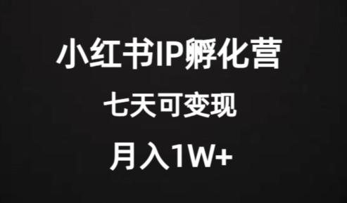 价值2000+的小红书IP孵化营项目，超级大蓝海，七天即可开始变现，稳定月入1W+-小艾网创