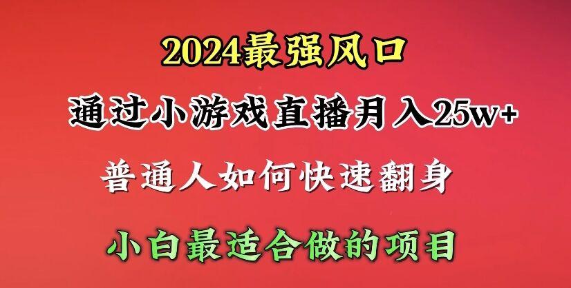 (10020期)2024年最强风口，通过小游戏直播月入25w+单日收益5000+小白最适合做的项目-小艾网创