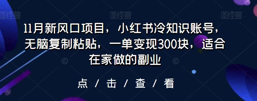 11月新风口项目，小红书冷知识账号，无脑复制粘贴，一单变现300块，适合在家做的副业-小艾网创