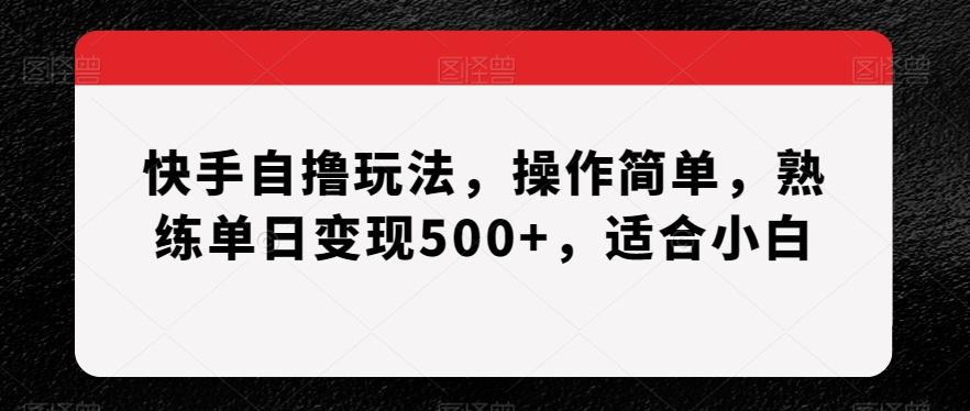 快手自撸玩法，操作简单，熟练单日变现500+，适合小白【揭秘】-小艾网创