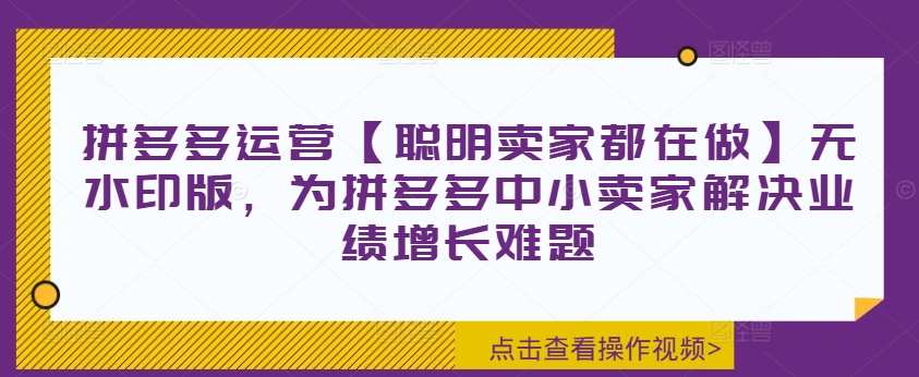 拼多多运营【聪明卖家都在做】无水印版，为拼多多中小卖家解决业绩增长难题-小艾网创