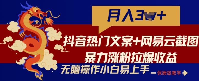 抖音热门文案+网易云截图暴力涨粉拉爆收益玩法，小白无脑操作，简单易上手【揭秘】-小艾网创