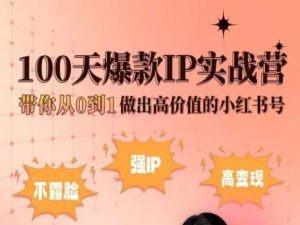 小红书100天爆款IP实战营，带你从0到1做出高价值的小红书号-小艾网创