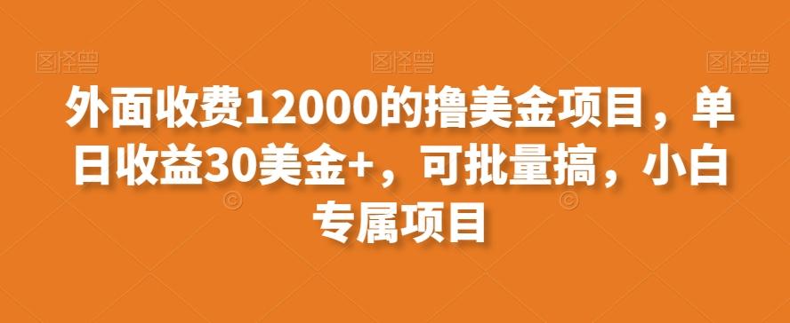 外面收费12000的撸美金项目，单日收益30美金+，可批量搞，小白专属项目-小艾网创