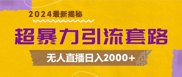 超暴力引流套路，无人直播日入2000+-小艾网创