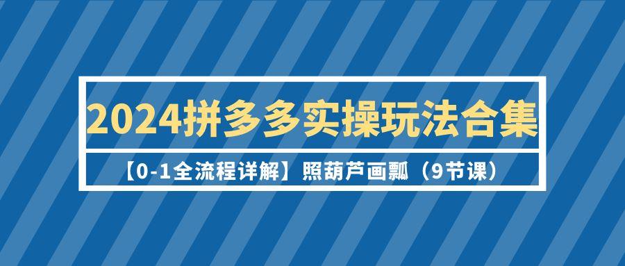 (9559期)2024拼多多实操玩法合集【0-1全流程详解】照葫芦画瓢(9节课)-小艾网创
