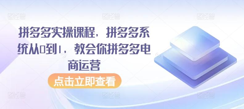 拼多多实操课程，拼多多系统从0到1，教会你拼多多电商运营-小艾网创