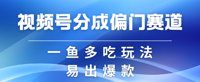 视频号创作者分成计划偏门类目，容易爆流，实拍内容简单易做【揭秘】-小艾网创