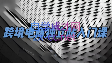 团长·跨境电商独立站入门课(2小时精华)-小艾网创