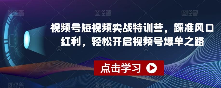 视频号短视频实战特训营，踩准风口红利，轻松开启视频号爆单之路-小艾网创