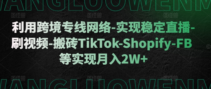 利用跨境专线网络-实现稳定直播-刷视频-搬砖TikTok-Shopify-FB等实现月入2W+【揭秘】-小艾网创