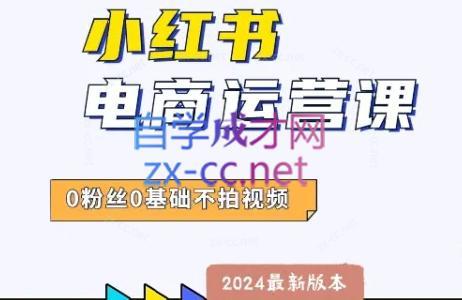 达哥·小红书电商运营(2024版)-小艾网创