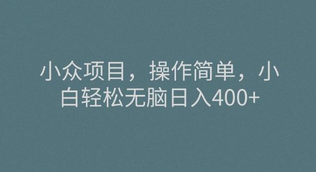 小众项目，操作简单，小白轻松无脑日入400+-小艾网创