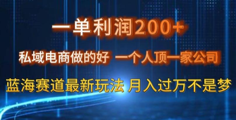 一单利润200私域电商做的好，一个人顶一家公司蓝海赛道最新玩法【揭秘】-小艾网创