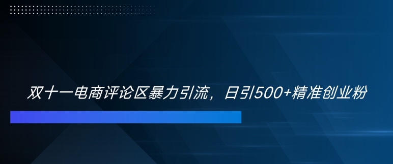 双十一电商评论区暴力引流，日引500+精准创业粉【揭秘】-小艾网创