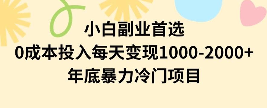 小白副业首选，0成本投入，每天变现1000-2000年底暴力冷门项目【揭秘】-小艾网创